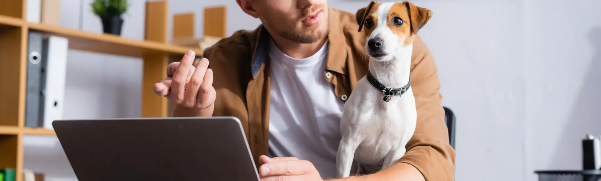Person with dog
