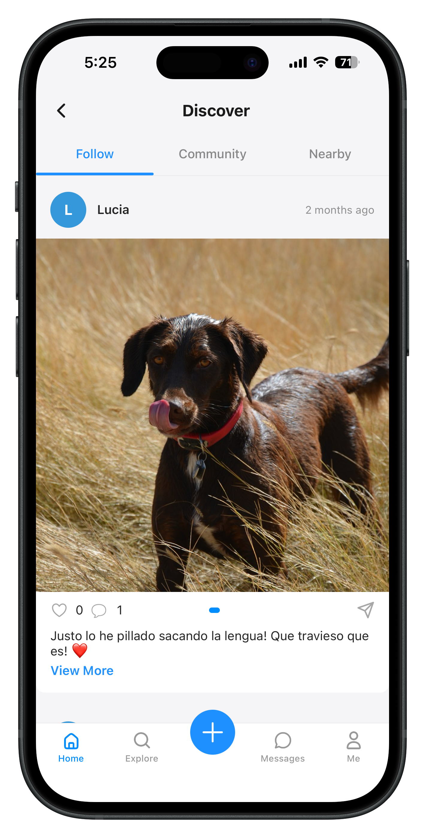 Colitas App Interface
